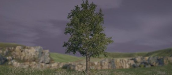 树木模拟器