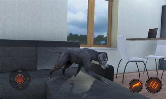 大丹狗模拟