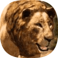狮王模拟器