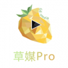 草莓ProAPP