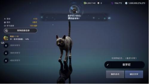 黑色沙漠黑色瘦猫任务怎么做 黑色沙漠黑色瘦猫任务完成攻略