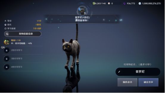 《黑色沙漠手游》黑色瘦猫任务怎么做