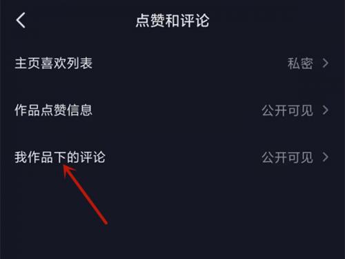 抖音怎么设置不让别人看评论 抖音不让别人看评论设置教程