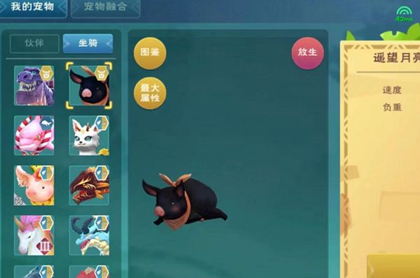 创造与魔法黑猪饲料（创造与魔法黑猪饲料怎么弄）