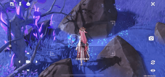 原神稻妻特产在哪些地方