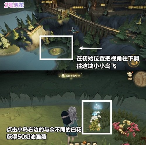 哈利波特魔法觉醒浇花彩蛋在哪