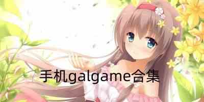 手机galgame模拟器-手机galgame翻译器安卓版