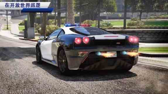欧洲警车驾驶模拟游戏合集-欧洲警车驾驶模拟游戏合集下载