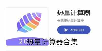 热量计算器app在线计算-减肥热量计算app