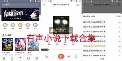 有声小说下载合集