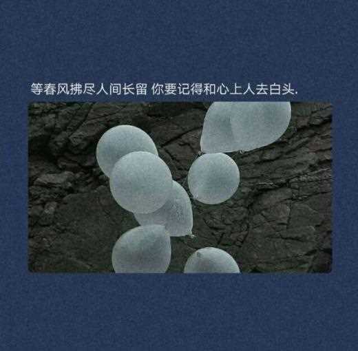 2023年跨年励志说说配图 兼职图片励志带字[30句]