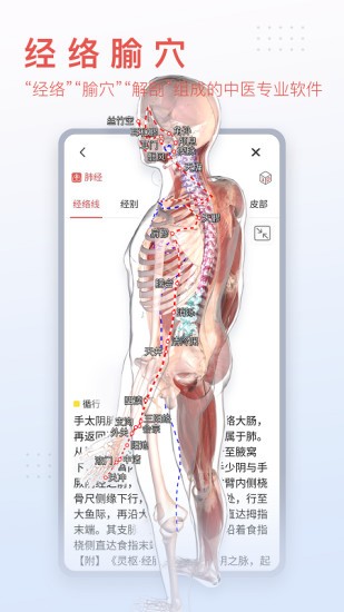 3Dbody解剖破解版