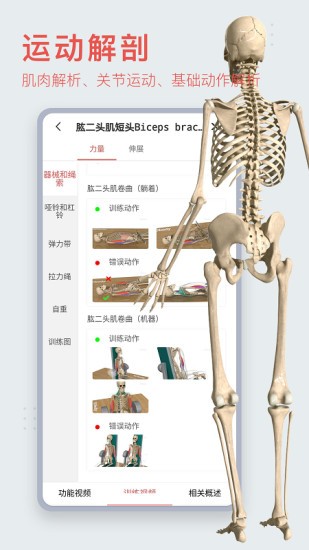 3Dbody解剖破解版