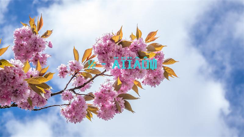 摩尔庄园手游萤火草怎么获得
