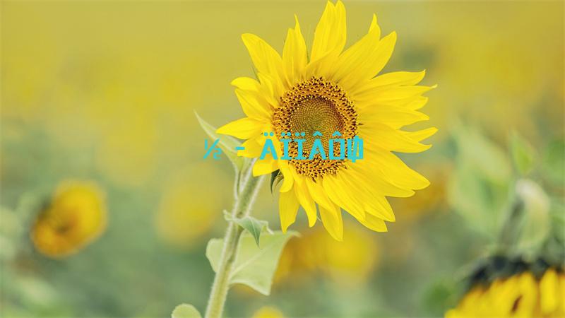 青春有你2冰清玉洁怎么了