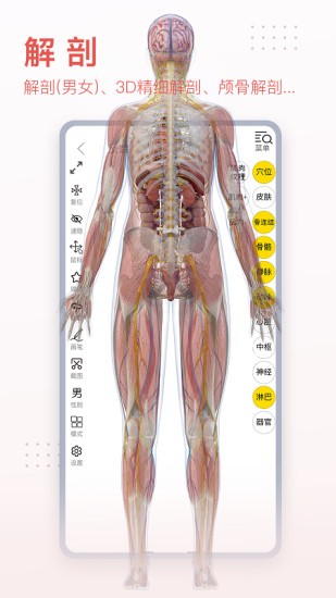 3Dbody解剖破解版