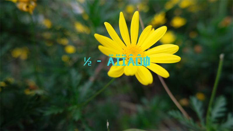 DNF手游游戏未响应解决方法