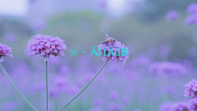 dnf110级版本驭剑士角色平衡