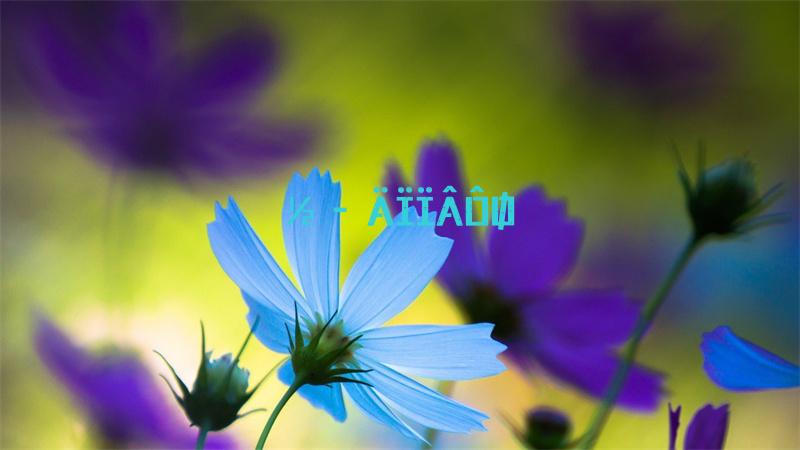 魔兽世界wlk前夕防骑天赋怎么点