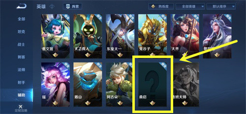 王者荣耀桑启是什么位置