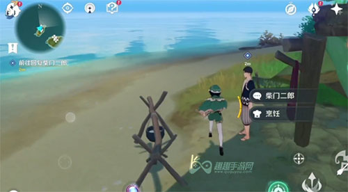 原神农民的宝藏29
