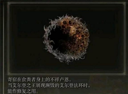 艾尔登法环大卢恩有几个 老头环有哪些大卢恩