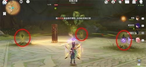 原神无相之草位置攻略