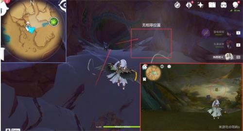 原神无相之草位置攻略
