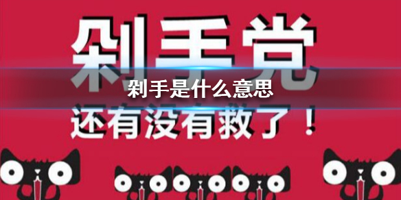 剁手是什么意思