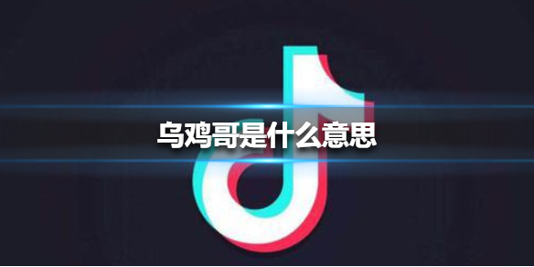 乌鸡哥是什么意思