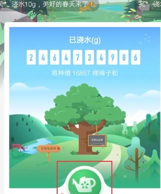蚂蚁公益森林怎么浇水