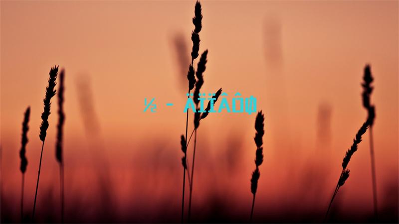 重装机兵2攻略