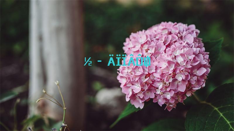 《骑马与砍杀：战团》作弊秘籍