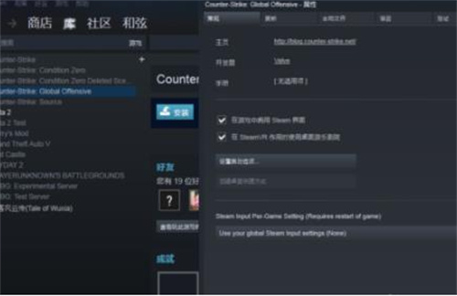 csgo国服启动项怎么开