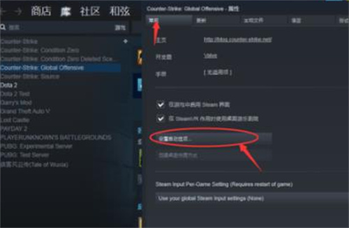 csgo国服启动项怎么开