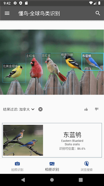 懂鸟全球