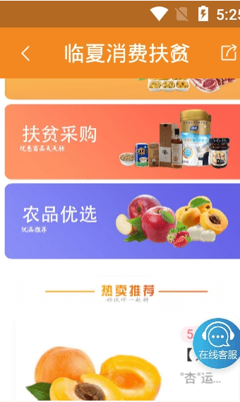 临夏消费扶贫app