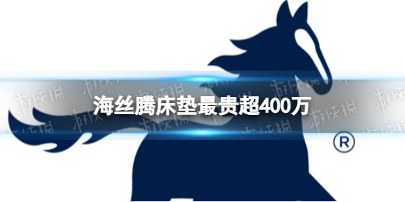 海丝腾床垫最贵超400万