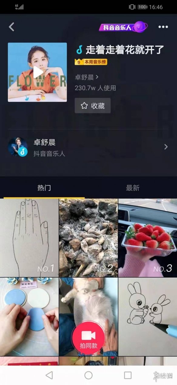 抖音我们走着走着花就开了是什么歌