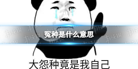 冤种是什么意思