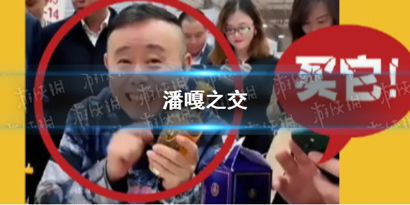 潘嘎之交是什么梗