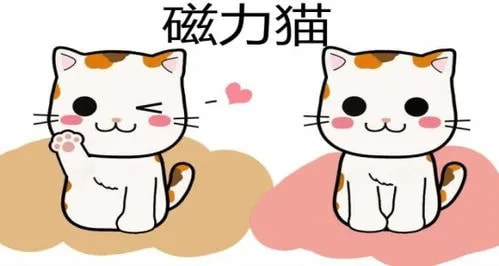 磁力猫最新版地址链接cilimao