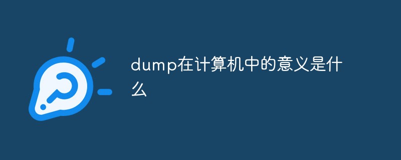 dump在计算机中的意义是什么