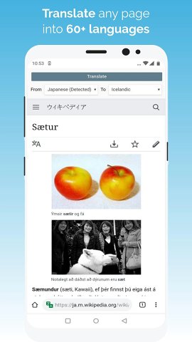 Kiwi Browser