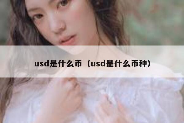 usd是什么币（usd是什么币种）