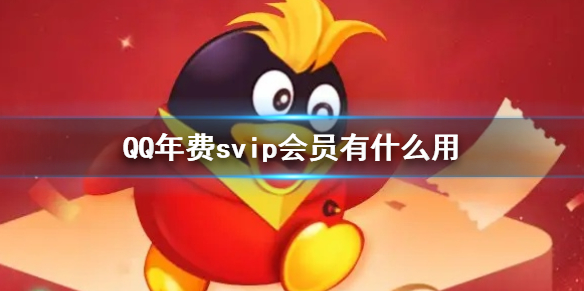 QQ年费svip会员有什么用