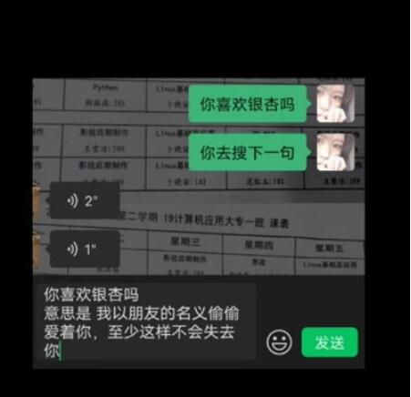 你喜欢银杏吗是什么梗