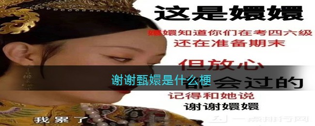 谢谢甄嬛是什么梗