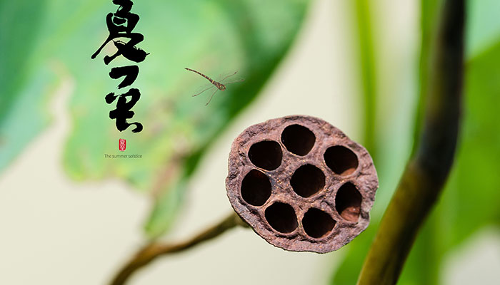 夏至是什么意思