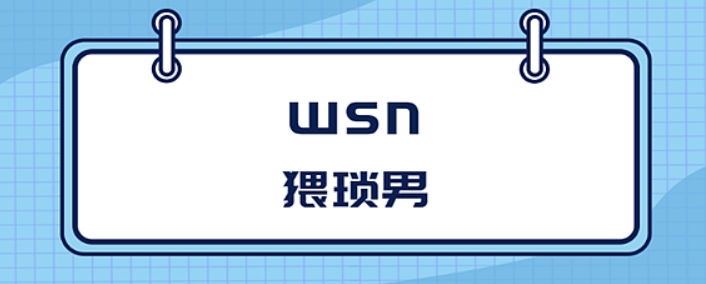 wsn是什么梗